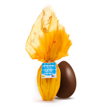 Carica l'immagine nel visualizzatore di Gallery, Uovo di cioccolato al latte-BIO- con sorpresa -270g.- COD.69
