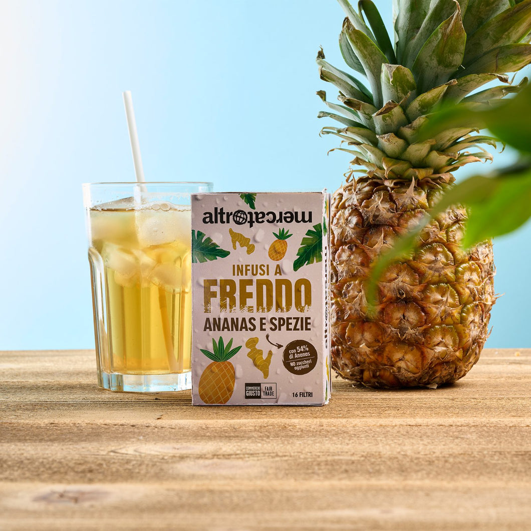 INFUSO FREDDO ANANAS E SPEZIE | COD. 00007122 | 16 filtri 40 g